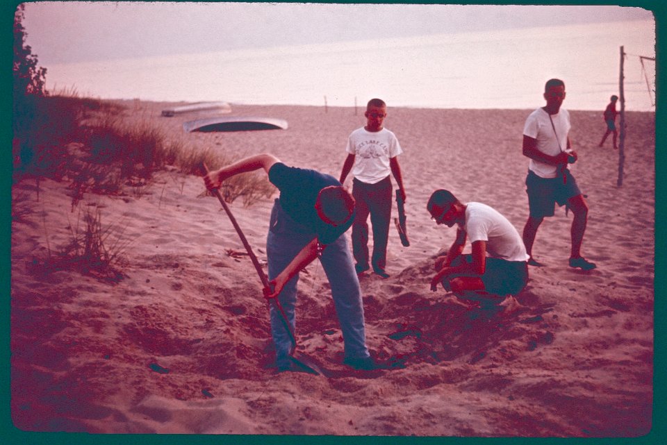 Campers digging on the beach